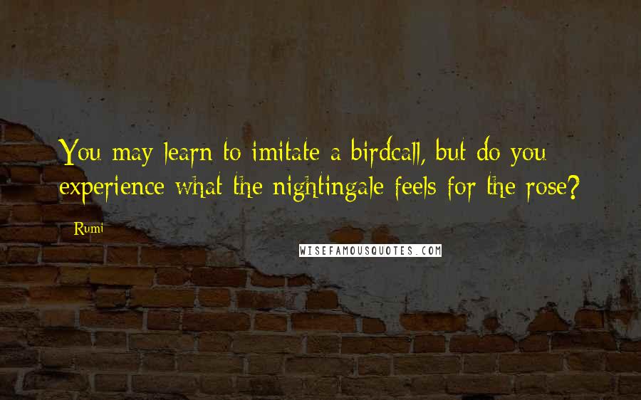 Rumi Quotes: You may learn to imitate a birdcall, but do you experience what the nightingale feels for the rose?