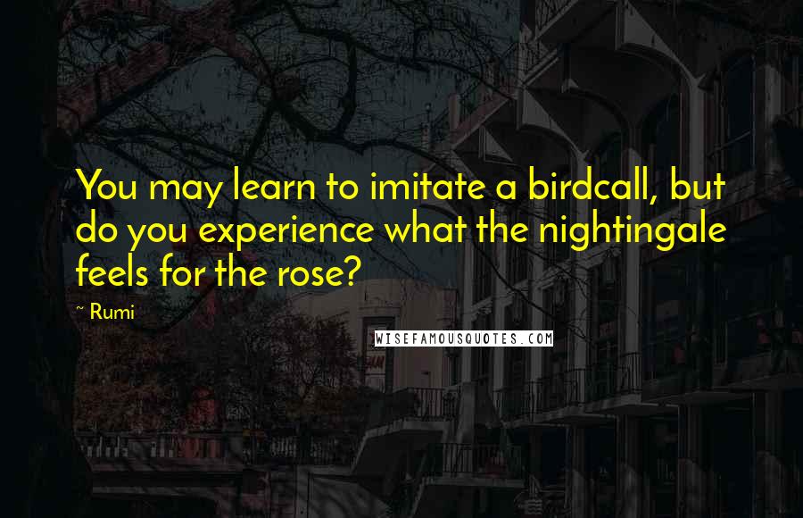 Rumi Quotes: You may learn to imitate a birdcall, but do you experience what the nightingale feels for the rose?