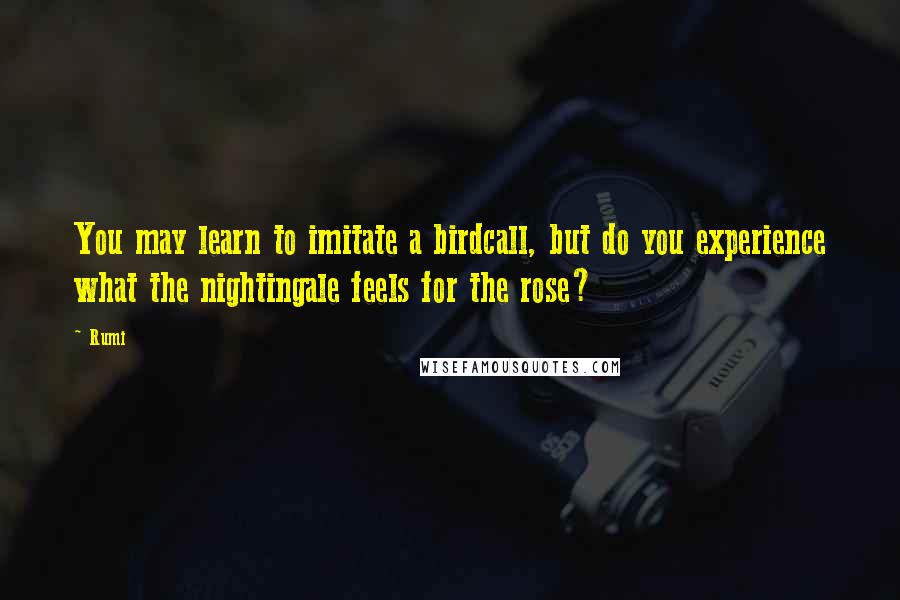 Rumi Quotes: You may learn to imitate a birdcall, but do you experience what the nightingale feels for the rose?