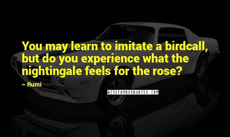 Rumi Quotes: You may learn to imitate a birdcall, but do you experience what the nightingale feels for the rose?