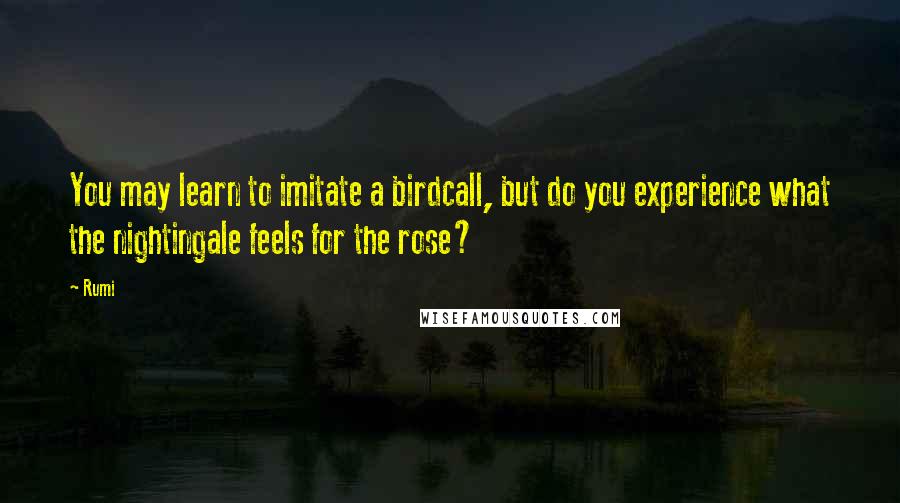 Rumi Quotes: You may learn to imitate a birdcall, but do you experience what the nightingale feels for the rose?