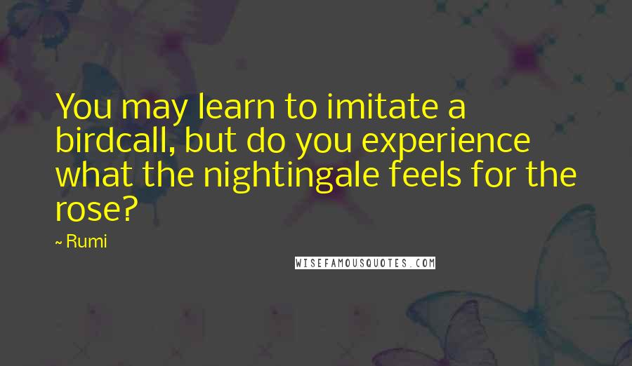 Rumi Quotes: You may learn to imitate a birdcall, but do you experience what the nightingale feels for the rose?