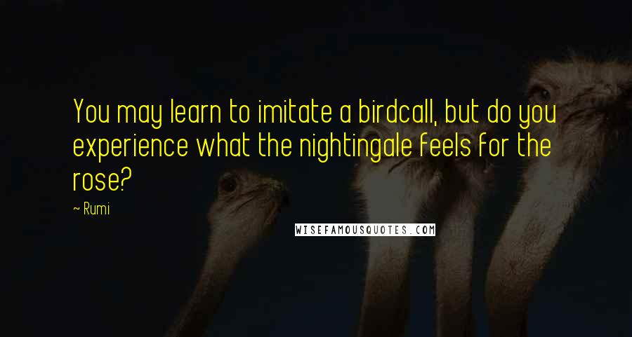 Rumi Quotes: You may learn to imitate a birdcall, but do you experience what the nightingale feels for the rose?