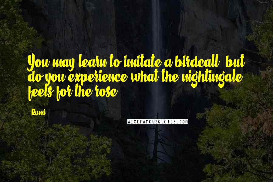 Rumi Quotes: You may learn to imitate a birdcall, but do you experience what the nightingale feels for the rose?