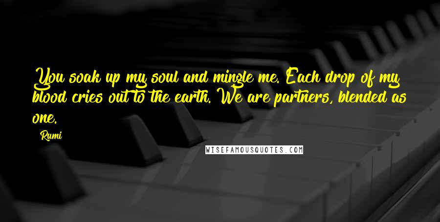 Rumi Quotes: You soak up my soul and mingle me. Each drop of my blood cries out to the earth. We are partners, blended as one.