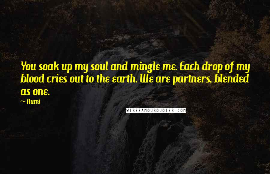 Rumi Quotes: You soak up my soul and mingle me. Each drop of my blood cries out to the earth. We are partners, blended as one.