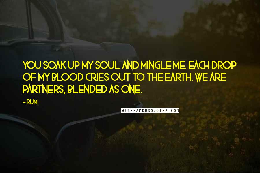 Rumi Quotes: You soak up my soul and mingle me. Each drop of my blood cries out to the earth. We are partners, blended as one.