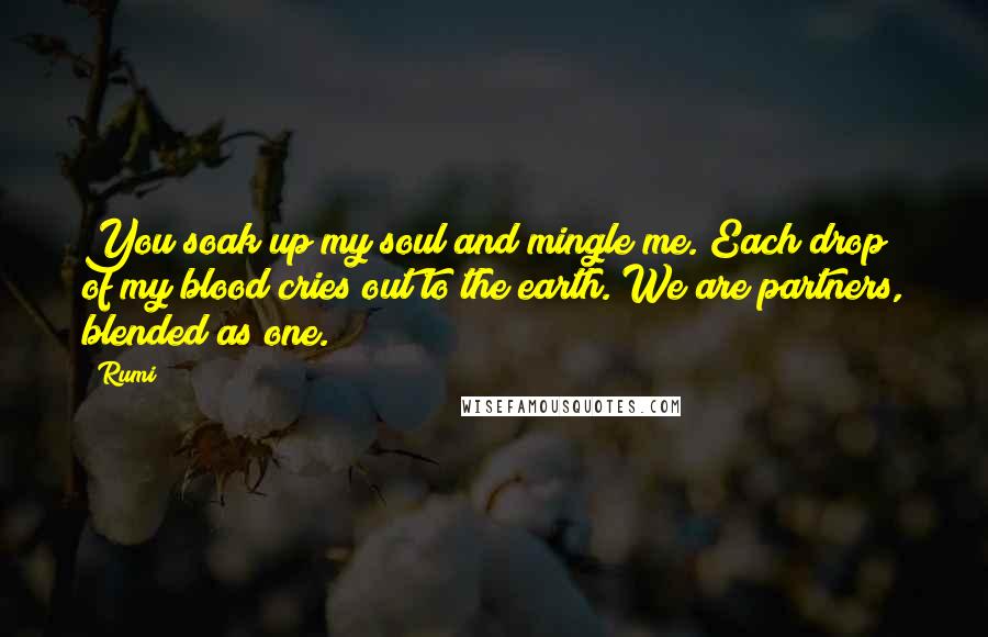 Rumi Quotes: You soak up my soul and mingle me. Each drop of my blood cries out to the earth. We are partners, blended as one.