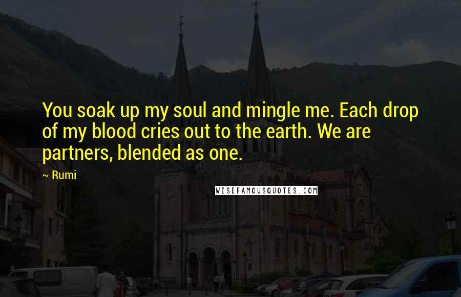 Rumi Quotes: You soak up my soul and mingle me. Each drop of my blood cries out to the earth. We are partners, blended as one.