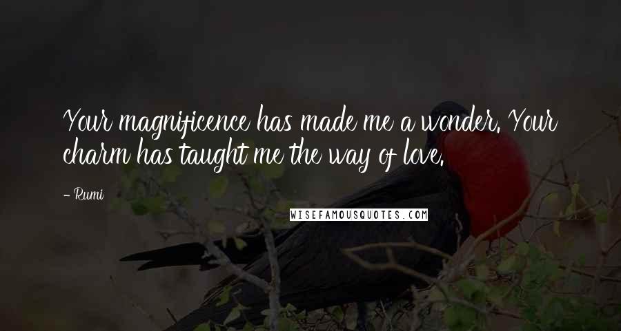 Rumi Quotes: Your magnificence has made me a wonder. Your charm has taught me the way of love.