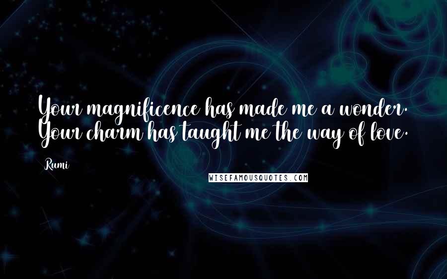 Rumi Quotes: Your magnificence has made me a wonder. Your charm has taught me the way of love.