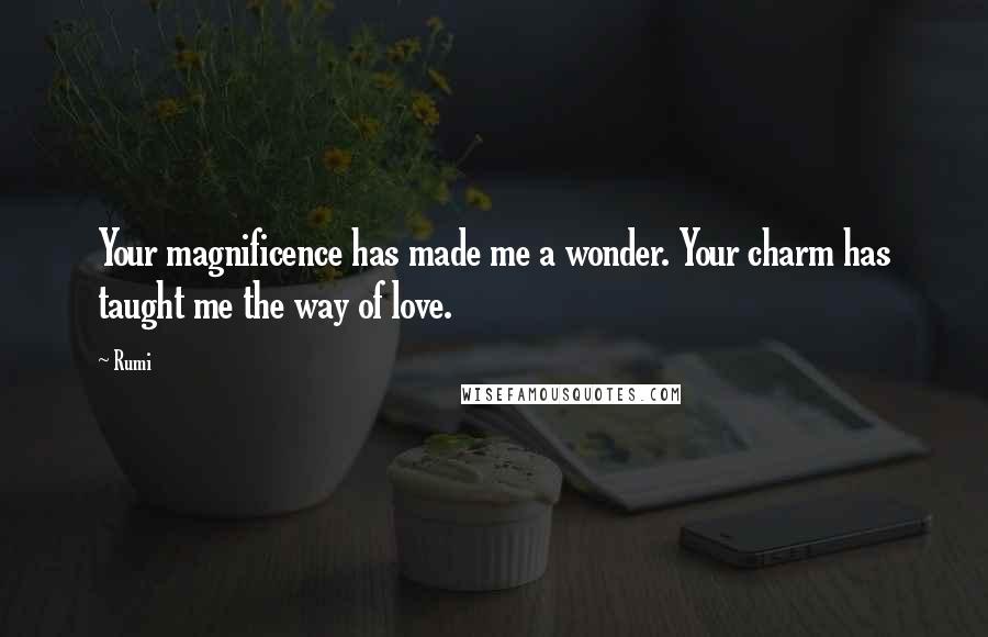 Rumi Quotes: Your magnificence has made me a wonder. Your charm has taught me the way of love.