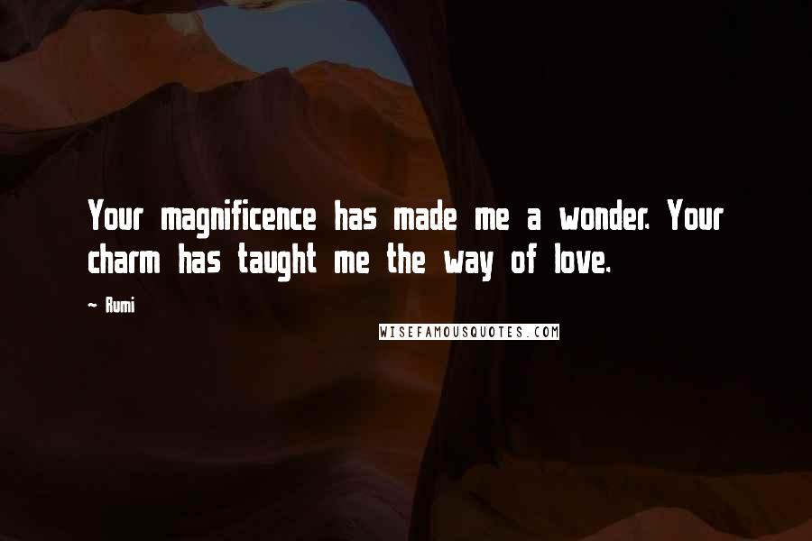 Rumi Quotes: Your magnificence has made me a wonder. Your charm has taught me the way of love.