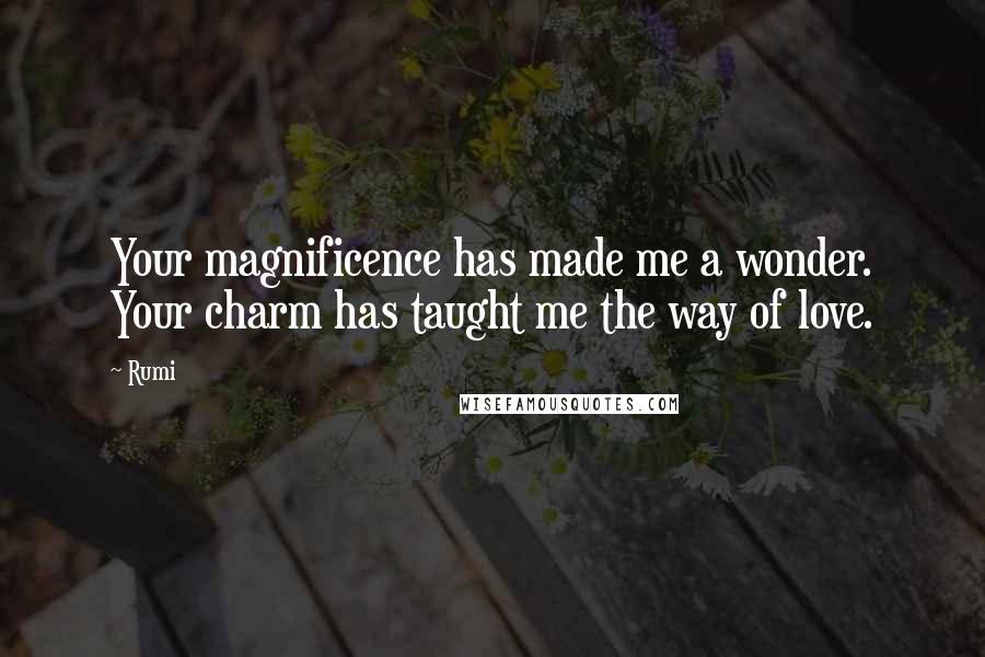 Rumi Quotes: Your magnificence has made me a wonder. Your charm has taught me the way of love.