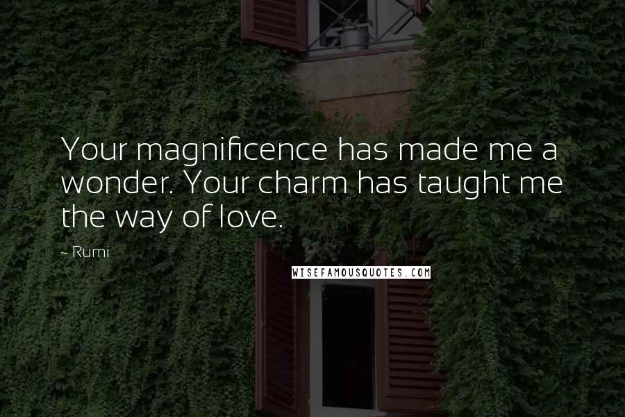 Rumi Quotes: Your magnificence has made me a wonder. Your charm has taught me the way of love.