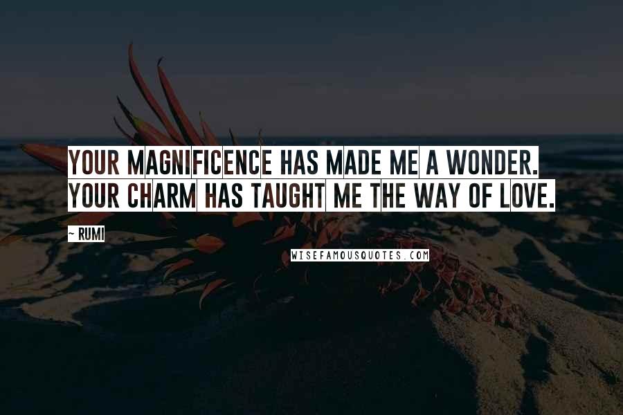 Rumi Quotes: Your magnificence has made me a wonder. Your charm has taught me the way of love.