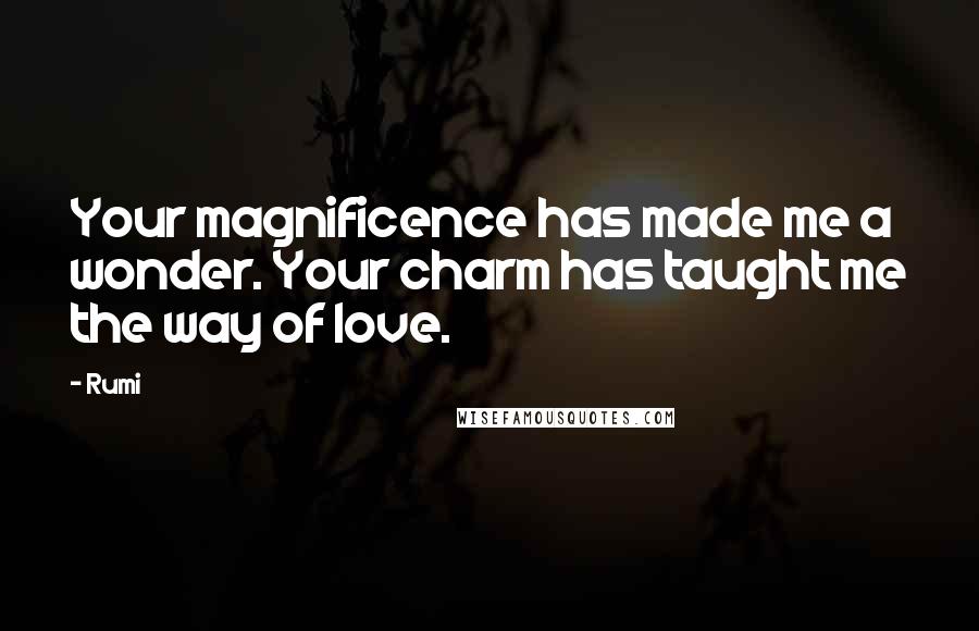 Rumi Quotes: Your magnificence has made me a wonder. Your charm has taught me the way of love.