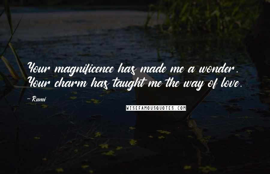 Rumi Quotes: Your magnificence has made me a wonder. Your charm has taught me the way of love.