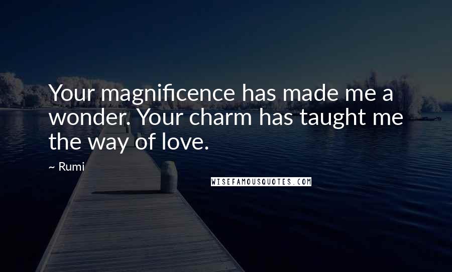 Rumi Quotes: Your magnificence has made me a wonder. Your charm has taught me the way of love.