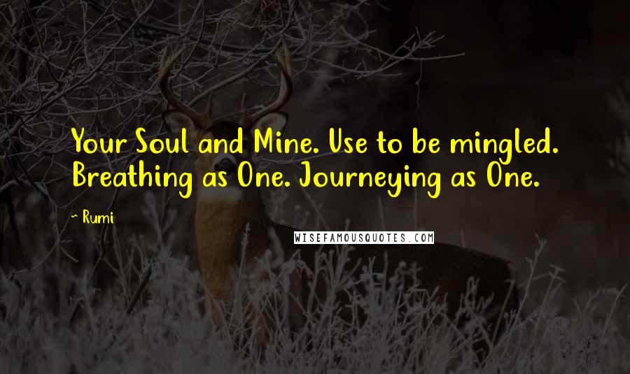 Rumi Quotes: Your Soul and Mine. Use to be mingled. Breathing as One. Journeying as One.