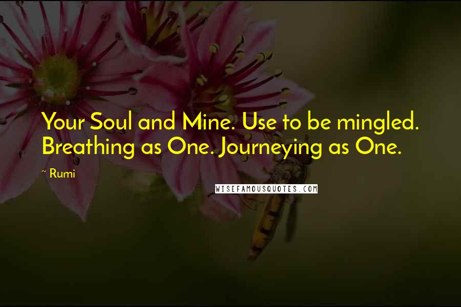 Rumi Quotes: Your Soul and Mine. Use to be mingled. Breathing as One. Journeying as One.