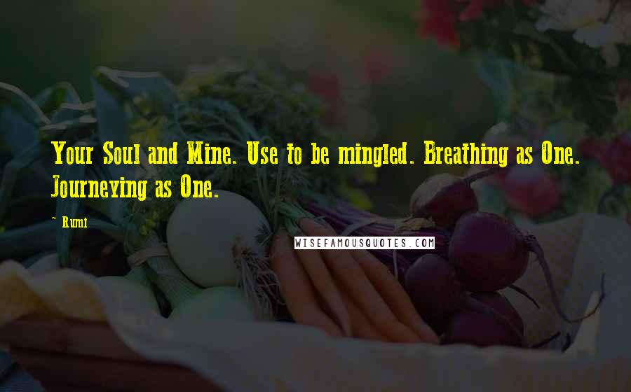 Rumi Quotes: Your Soul and Mine. Use to be mingled. Breathing as One. Journeying as One.