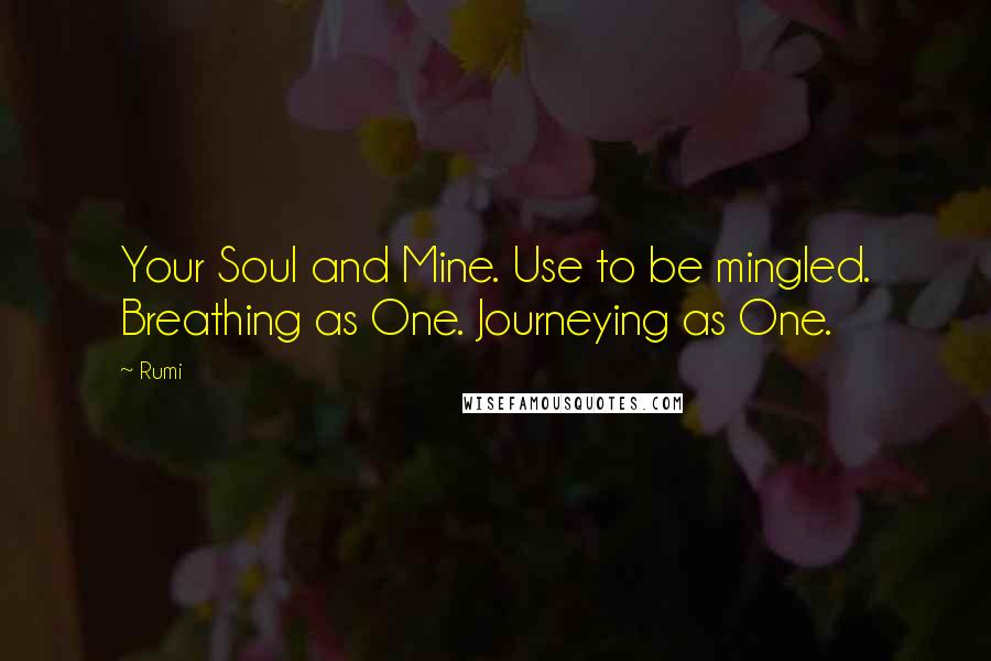 Rumi Quotes: Your Soul and Mine. Use to be mingled. Breathing as One. Journeying as One.