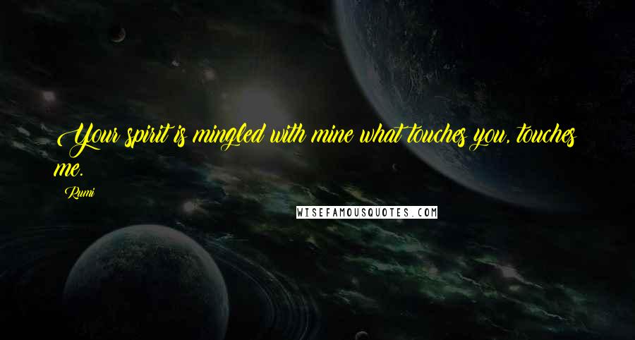 Rumi Quotes: Your spirit is mingled with mine what touches you, touches me.