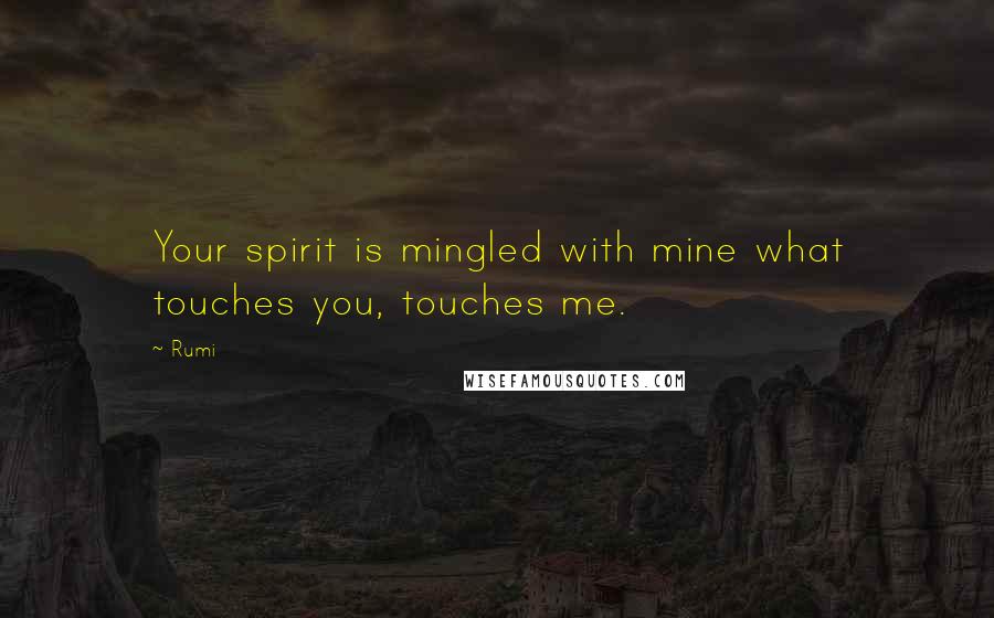 Rumi Quotes: Your spirit is mingled with mine what touches you, touches me.