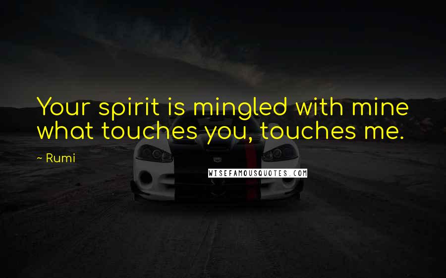 Rumi Quotes: Your spirit is mingled with mine what touches you, touches me.