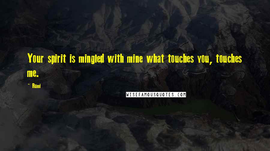 Rumi Quotes: Your spirit is mingled with mine what touches you, touches me.