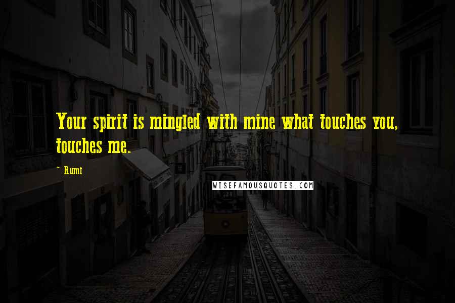 Rumi Quotes: Your spirit is mingled with mine what touches you, touches me.