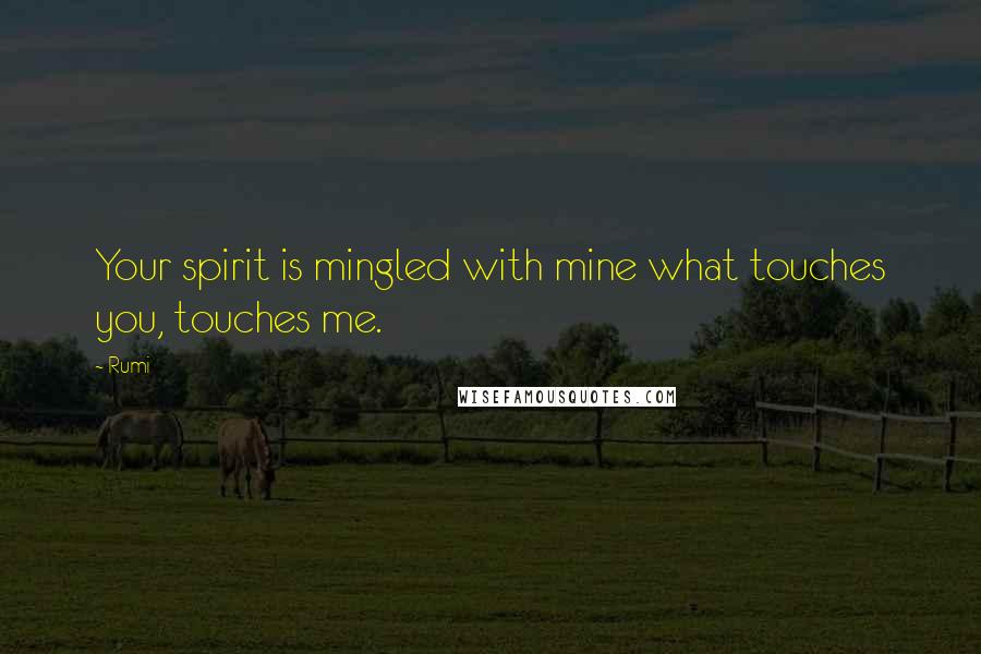 Rumi Quotes: Your spirit is mingled with mine what touches you, touches me.