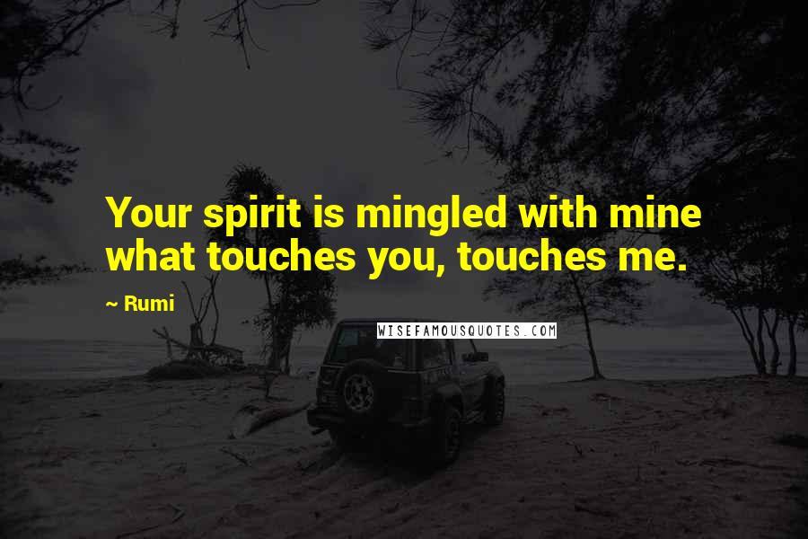 Rumi Quotes: Your spirit is mingled with mine what touches you, touches me.