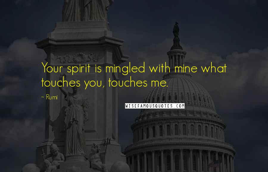 Rumi Quotes: Your spirit is mingled with mine what touches you, touches me.