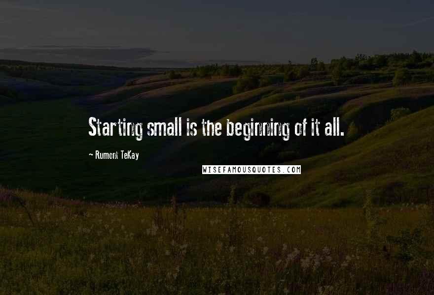 Rumont TeKay Quotes: Starting small is the beginning of it all.