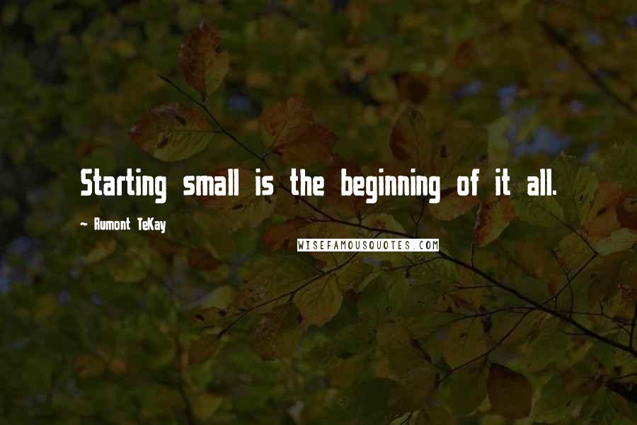 Rumont TeKay Quotes: Starting small is the beginning of it all.