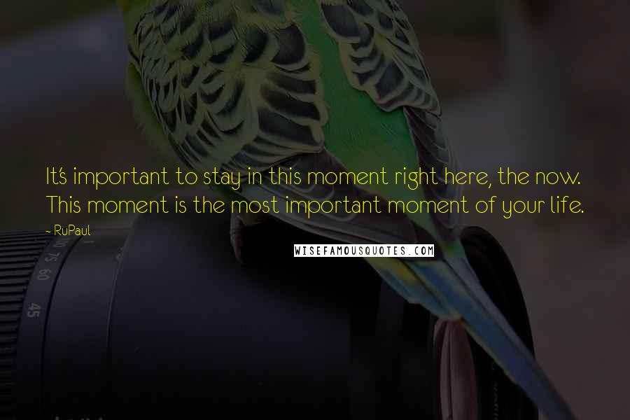 RuPaul Quotes: It's important to stay in this moment right here, the now. This moment is the most important moment of your life.