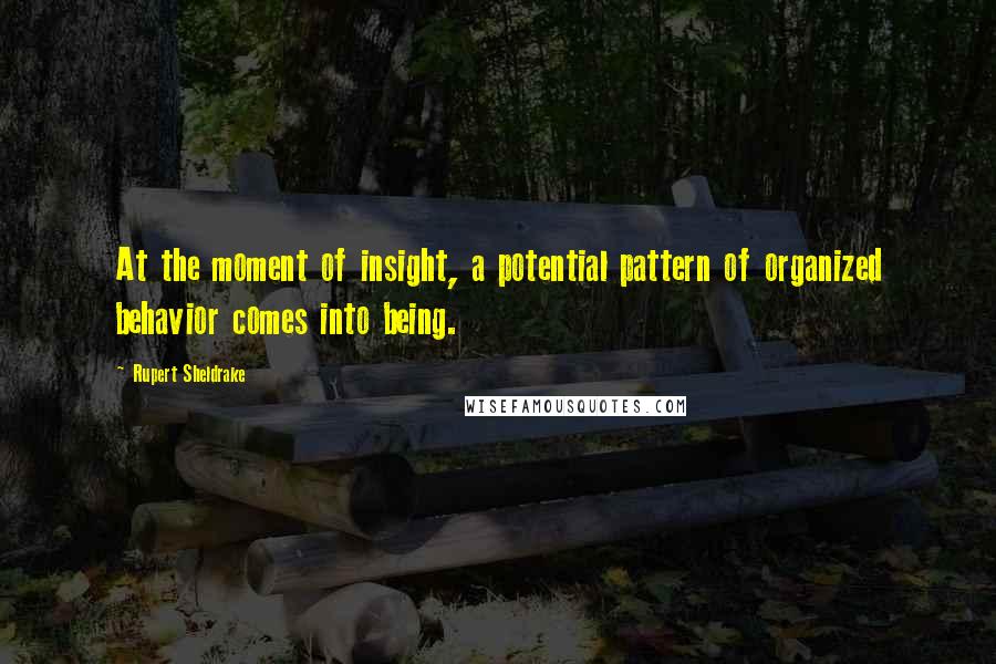 Rupert Sheldrake Quotes: At the moment of insight, a potential pattern of organized behavior comes into being.