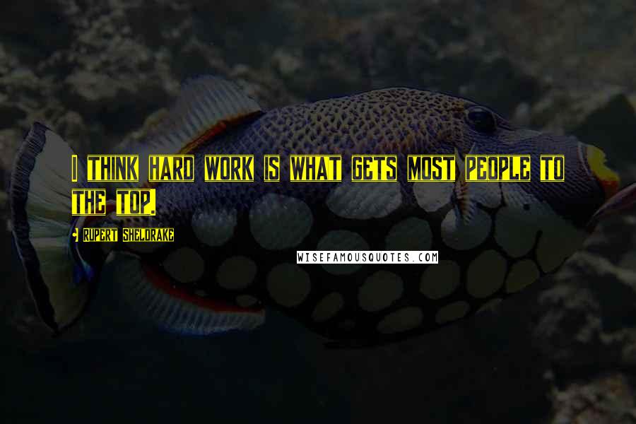 Rupert Sheldrake Quotes: I think hard work is what gets most people to the top.