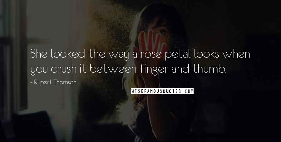 Rupert Thomson Quotes: She looked the way a rose petal looks when you crush it between finger and thumb.