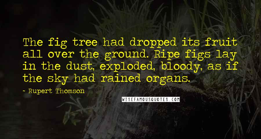 Rupert Thomson Quotes: The fig tree had dropped its fruit all over the ground. Ripe figs lay in the dust, exploded, bloody, as if the sky had rained organs.