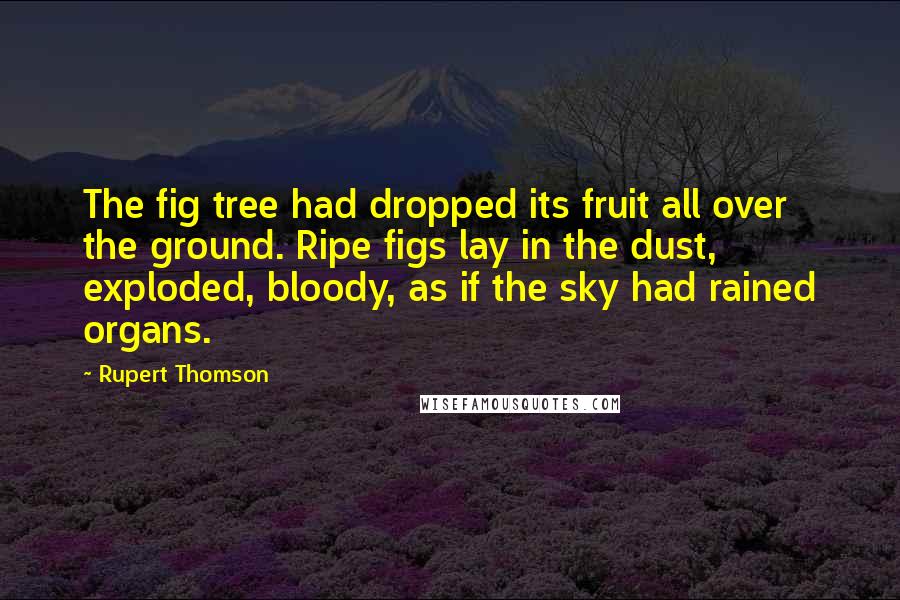 Rupert Thomson Quotes: The fig tree had dropped its fruit all over the ground. Ripe figs lay in the dust, exploded, bloody, as if the sky had rained organs.