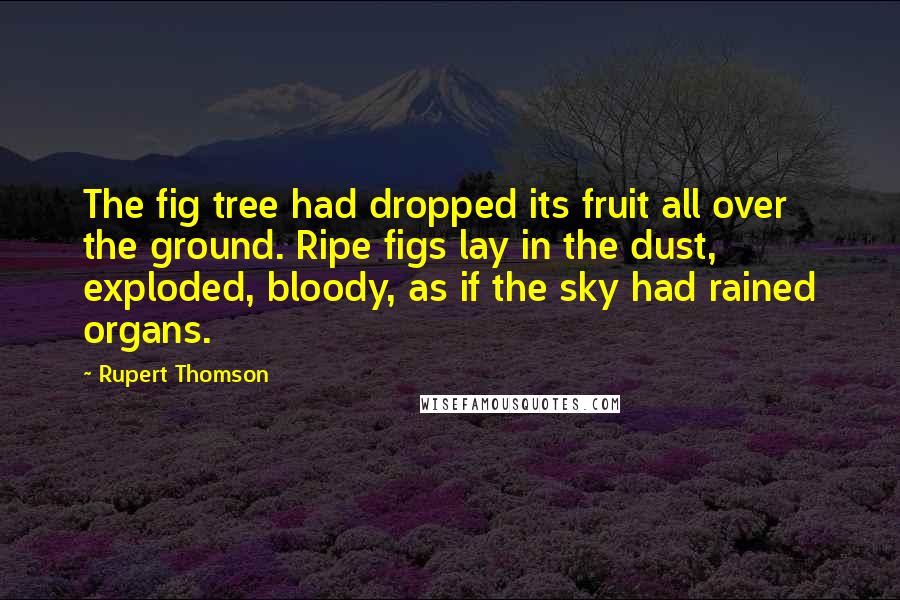 Rupert Thomson Quotes: The fig tree had dropped its fruit all over the ground. Ripe figs lay in the dust, exploded, bloody, as if the sky had rained organs.