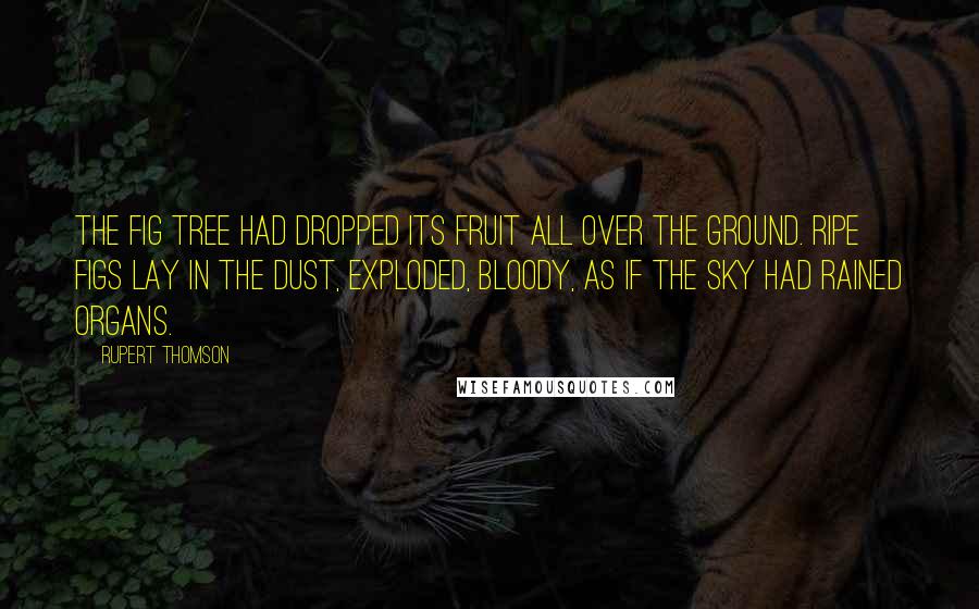 Rupert Thomson Quotes: The fig tree had dropped its fruit all over the ground. Ripe figs lay in the dust, exploded, bloody, as if the sky had rained organs.