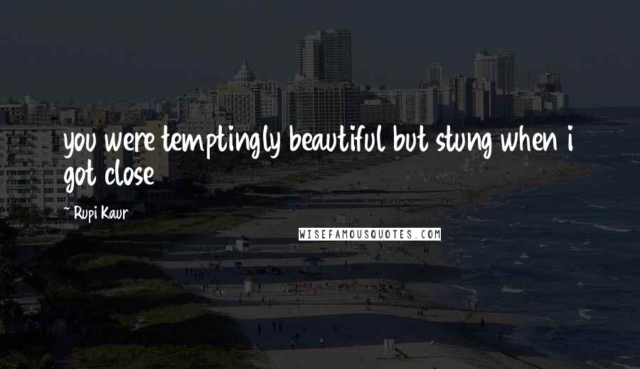 Rupi Kaur Quotes: you were temptingly beautiful but stung when i got close