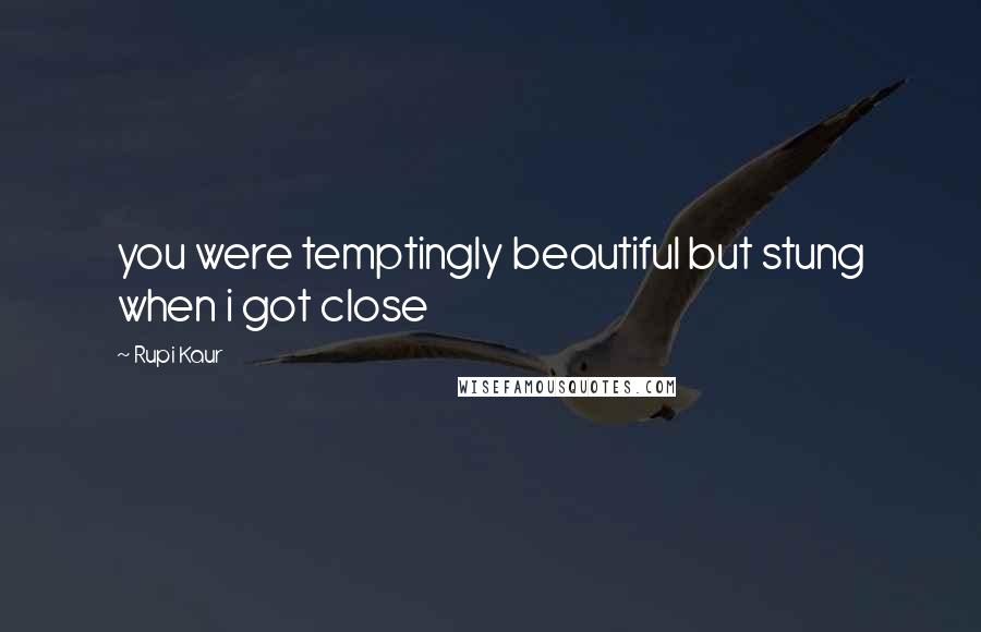 Rupi Kaur Quotes: you were temptingly beautiful but stung when i got close