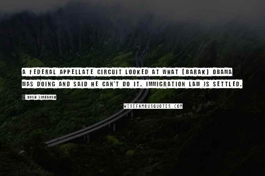 Rush Limbaugh Quotes: A federal appellate circuit looked at what [Barak] Obama was doing and said he can't do it. Immigration law is settled.