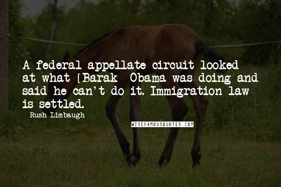 Rush Limbaugh Quotes: A federal appellate circuit looked at what [Barak] Obama was doing and said he can't do it. Immigration law is settled.