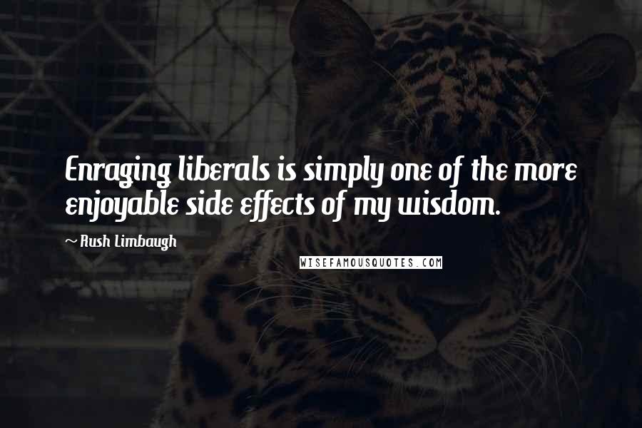 Rush Limbaugh Quotes: Enraging liberals is simply one of the more enjoyable side effects of my wisdom.